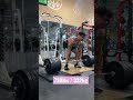 730lbs / 233kg @ 253lbs #turkesterone #gorillamind #moreplatesmoredates #powerlifter #youtubeshorts
