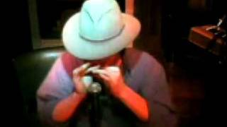 Train Song Harmonica - Daniel Cohen ( Live )
