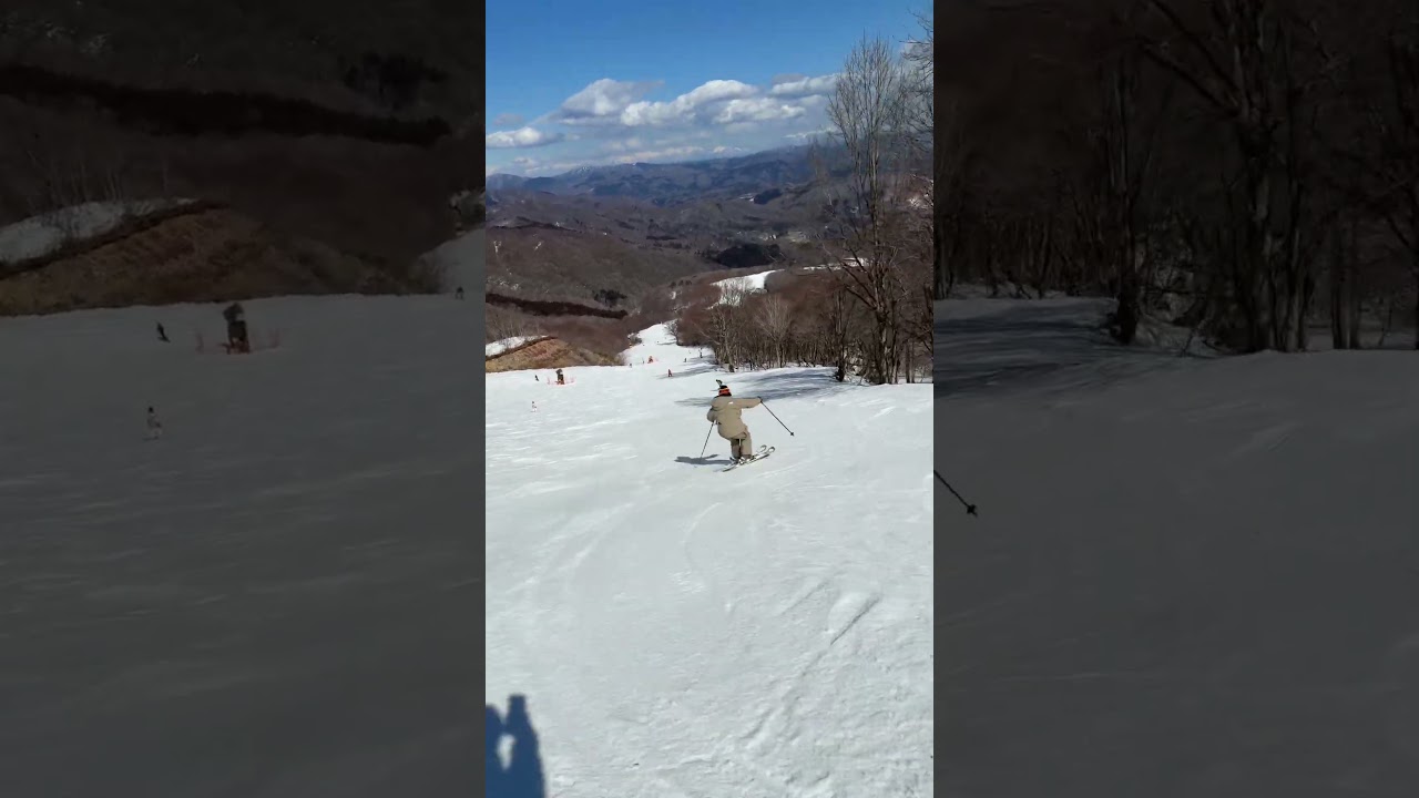 いま風のショートターンって大きよね？小さめもすきです#ski #高鷲スノーパーク #レッスン