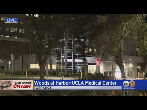 Tiger Woods 'Responsive And Recovering' After Suffering Serious Leg, Ankle Injuries In Rollover Cras