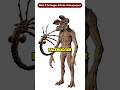 What If The Facehugger Attacks A Demogorgon From Stranger Things Shorts Marvel