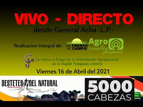 en VIVO y en DIRECTO  De Frente Al Campo