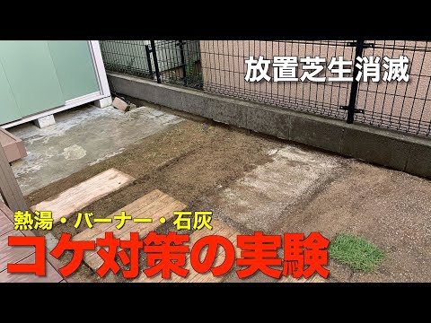 芝生からコケを取り除いたほうがいいでしょうか？その理由と方法: どのような治療法ですか?  庭園