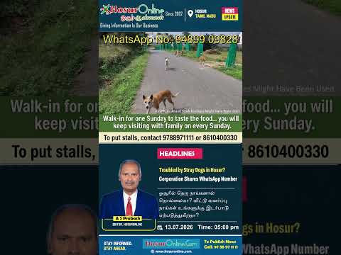 Hosur Corporation Shares WhatsApp Number for Stray Dog and Public Nuisance Complaints