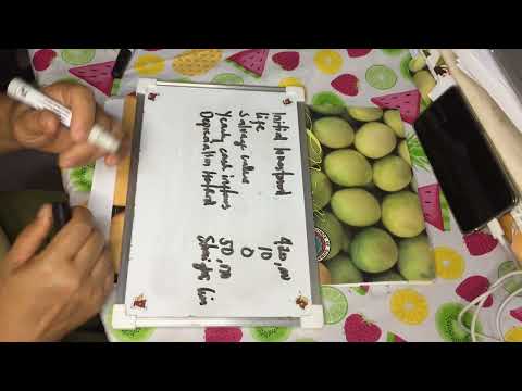 Laboratory Exercise 02