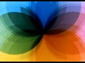 NBC TV Living Color Peacock Best Quality