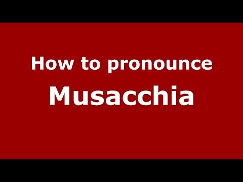 How to pronounce Musacchia (Italian/Italy) - PronounceNames.com