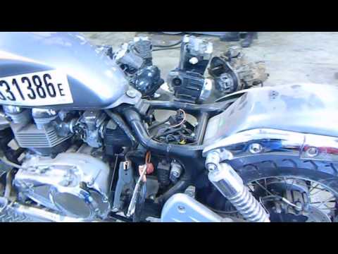 Speedo Cable Triumph Bonneville 800 America