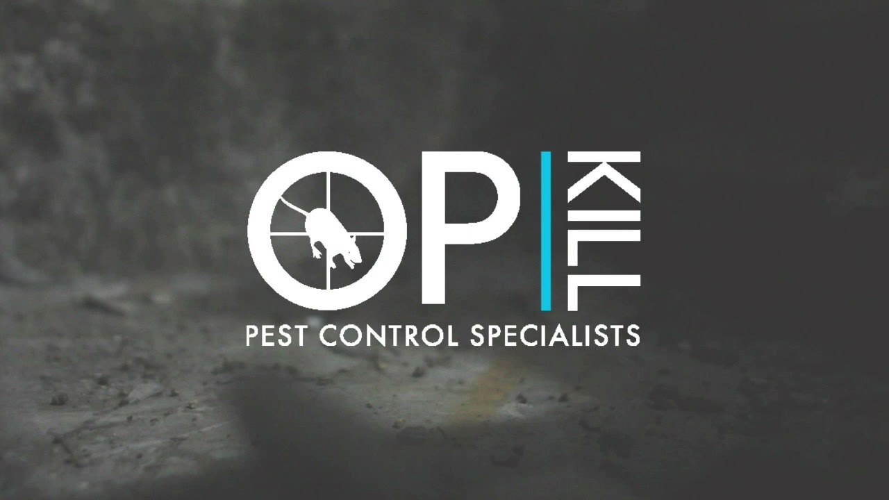 Setting a Opkill Rat trap