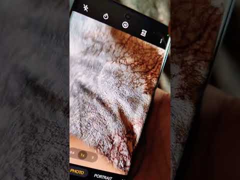 Here's How to quick launch camera on oxygen os 13 by just double clicking volume button #oxygenos13