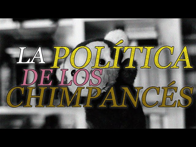 Vídeo relacionado con La política de los chimpancés (El libro de bolsillo - Ciencias)