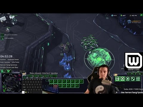 How to beat Muta Ling Baneling as Terran (In Legacy of the Void)