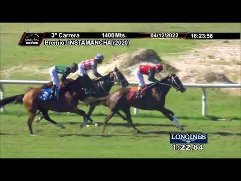 221204 c03 JELEA REAL (BRZ)