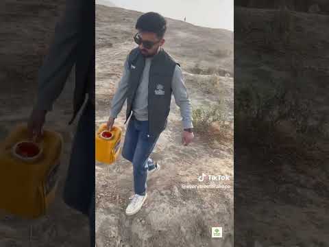 Planting a Tree Today for a Greener Tomorrow 🌱