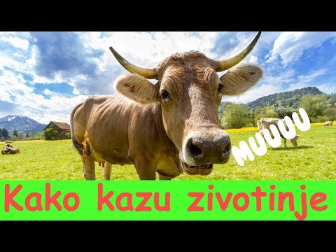Kako Kazu Zivotinje | Zivotinje Na Farmi
