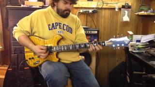 DGN Custom Guitars - Jerry Garcia Wolf Guitar Replica