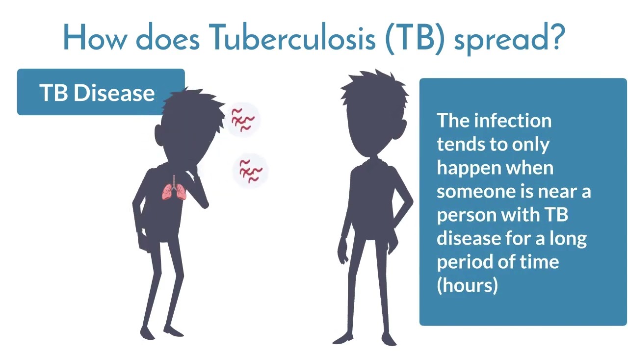 Understanding Tuberculosis (full-length video)