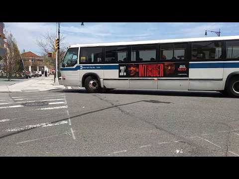B49 Bus