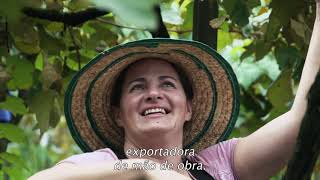 LEGADO ITALIANO | Trailer