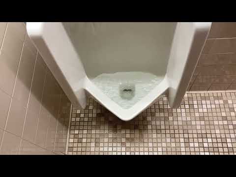 4,502. Canevin Hall Unisex Restroom