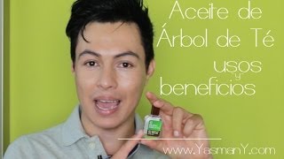 Beneficios Del Aceite De Té De Arbol - Yasmany