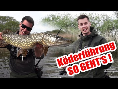 Lure presentation for pike fishing with soft plastic lures - Here's how it works