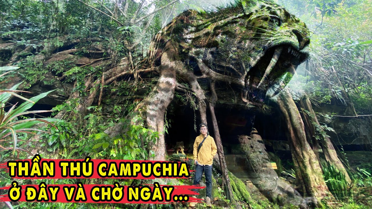 Sư Ẩn Tu 25 năm trên núi Tà Lơn Tiết Lộ Thần Thú Tiên Thánh Đang Ở Đây!!! | Theo Dấu Cử Da Tà Lơn 4