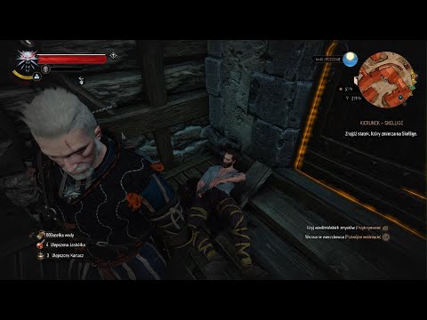 Wiedźmin 3: Dziki Gon glitch - Novigrad - typ se wali w drzwi xd