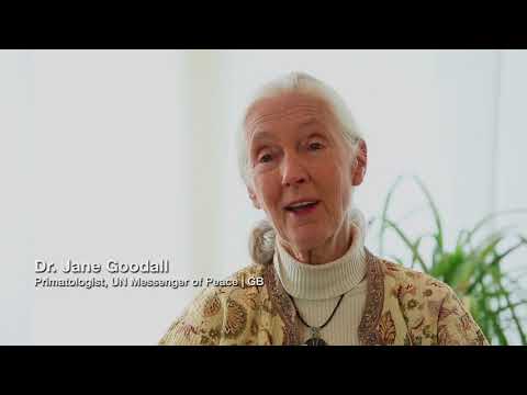 Jane Goodall - Message of Hope