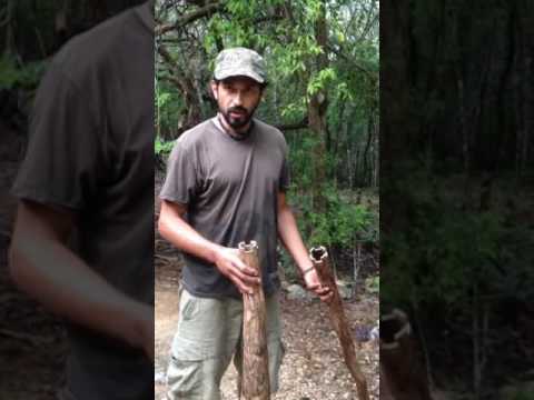 Didgeridoo híbrido de agave