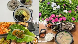 【vlog】今年の暑い韓国の夏も美味しいもの食べて乗り切る🔥韓国在住日本人の日常🌺