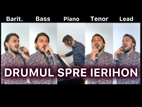 Simeon Folfa & Dragoș Tichieru - Drumul spre Ierihon