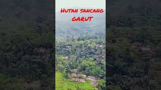 Download lagu hutan SANCANG GARUT#viralvideo mp3 Download lagu hutan SANCANG GARUT#viralvideo mp3