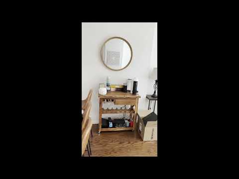 video 1