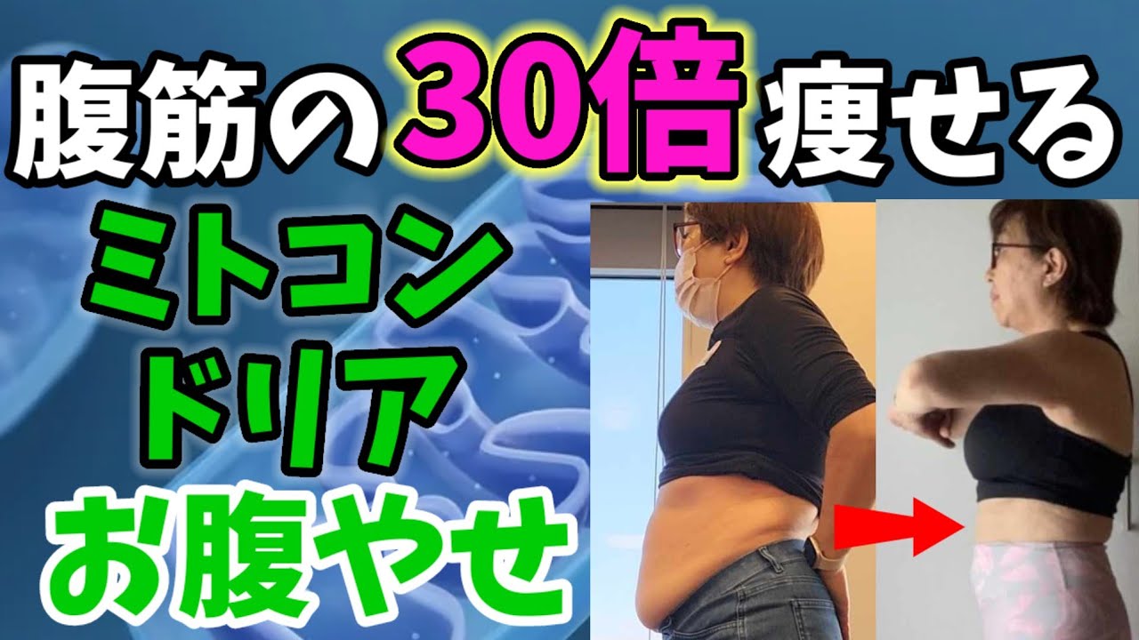 腹筋の30倍痩せる❗ミトコンドリアでお腹痩せ！－１０cm❗