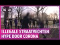 Illegale vechtpartijen bij Den Bosch: ‘Knock-out hoort erbij’