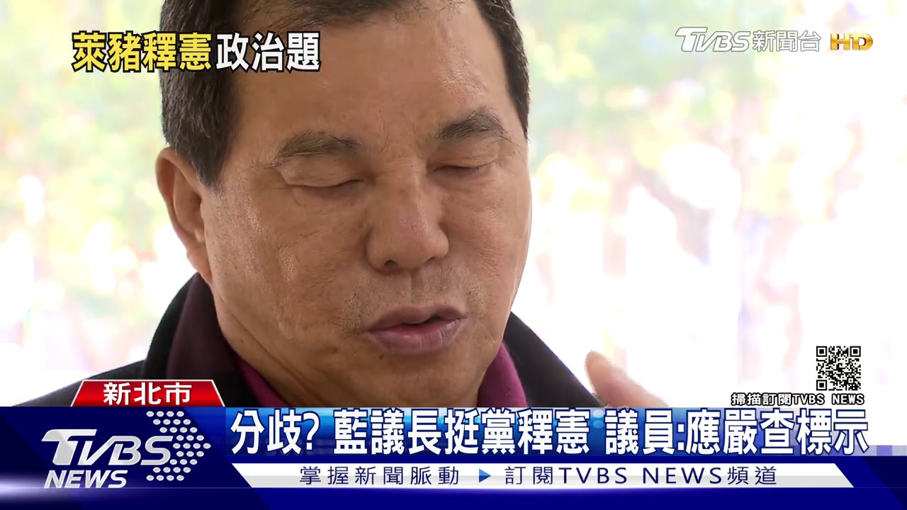 釋憲有異見?藍黨中央喊提 民代:別政治化