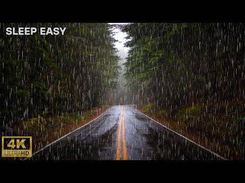 😴Durma Fácil com Barulho de Chuva na Estrada e Sons de Trovoadas Fortes na Floresta Nebulosa.⛈️