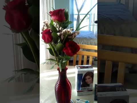 Novela La Violacion. Partes y Capitulos.