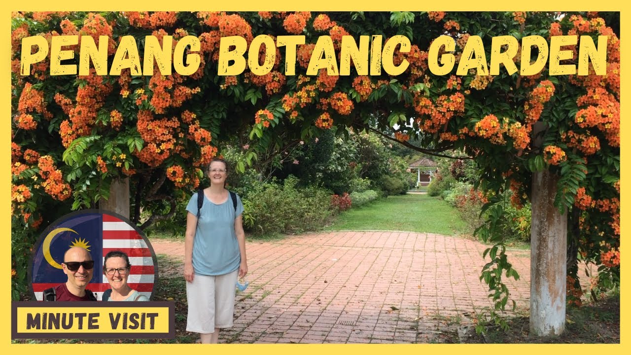 A wanderer unveils their enchanting encounter at Penang Botanical Gardens.