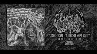 DEVOUR THE IGNORANT - SURGICALLY DISMEMBERED [DEBUT SINGLE] (2018) SW EXCLUSIVE