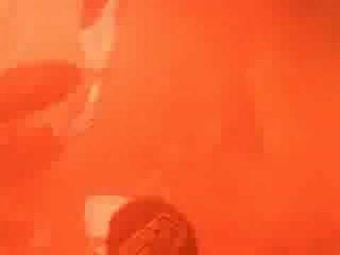 Derby Arka-Lechia oprawa