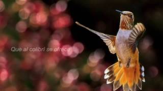 Yo te recuerdo - Juan Gabriel