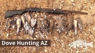 Dove Hunting in AZ Sep 2020 // with bonus clean and cook