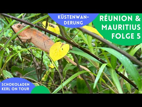 La Réunion 🦎 5 🦎 Küstenwanderung mit Tücken