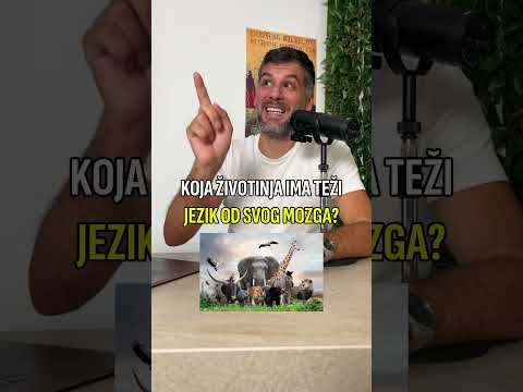 KO IMA jezik TEŽI od MOZGA👅🧠#slusajsadovo #quiz #shorts