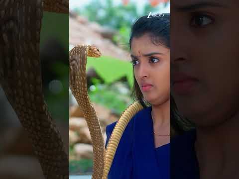 #Meghasandesam #Shorts #Zee Telugu #Entertainment #Drama