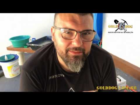 download lagu mp3 mp4 Golddog, download lagu Golddog gratis, unduh video klip Golddog