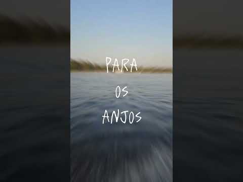 Barcelos, Amazonas.