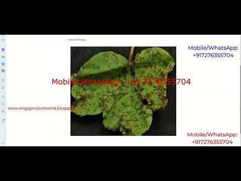 Cotton Leaf Disease Identification Using Image Processing Python Project With Source Code